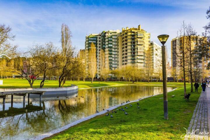Green Executive Apartment In The Heart Of Lizbona Zewnętrze zdjęcie